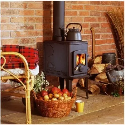 Orion Woodburning Stove